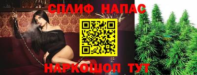 стаф Жуковский
