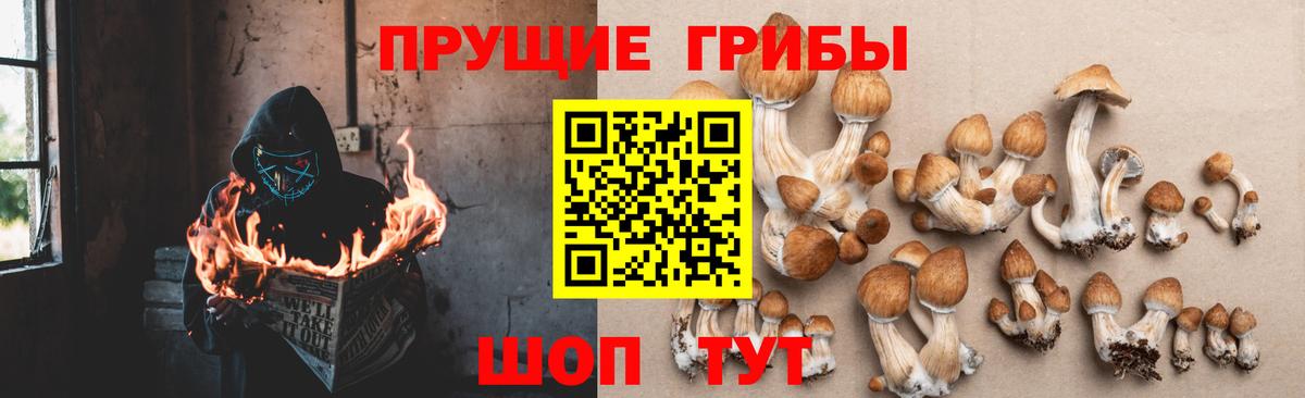 Псилоцибиновые грибы мухоморы  Вход с VPN  Королёв 